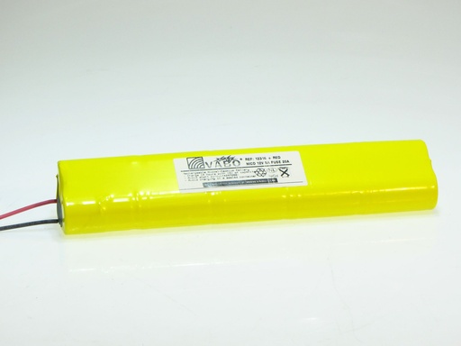 [12316] Montage 10/Nimh D -HD (type G)  12V 300 x 66 x 33