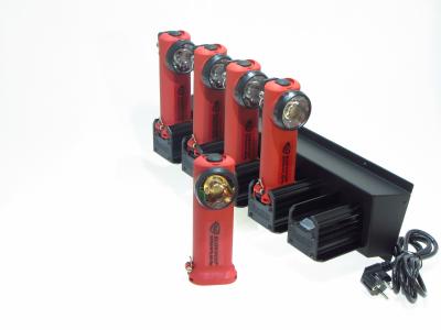 [12493] STRL90569-STR- SURVIVOR 5-BANK Charger 230V LOW PROFILE ATE