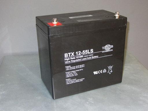 [12697] PB WING BTX12-55LS LONGLIFE - HIGH RATE - OGIV 229x138x210-