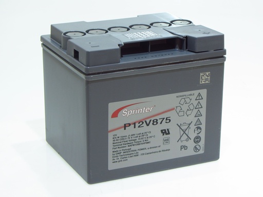 [12876] Exide Sprinter P12V875 12V 41AH AGM VDS  200x169x176 M6- PO